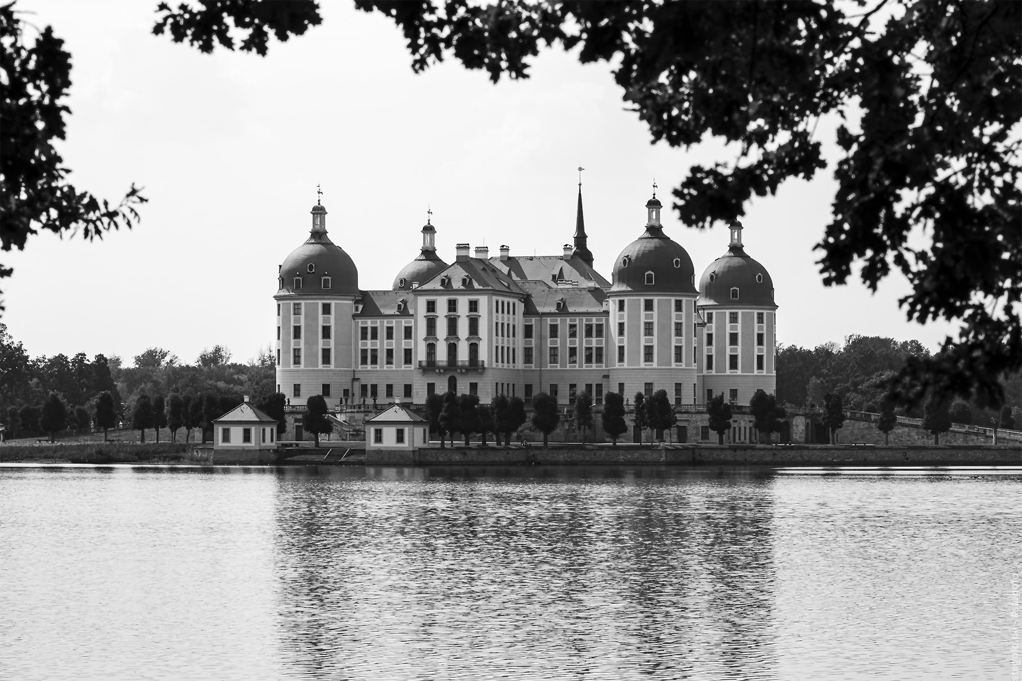 Das Schloss Moritzburg