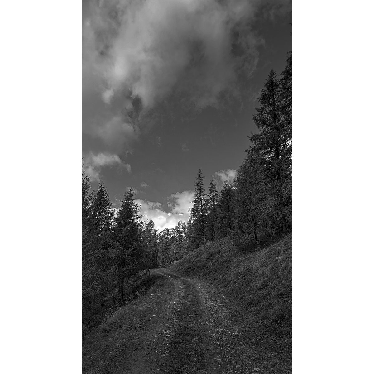 Der Weg in die Berge - Heiligenblut (10.2022)