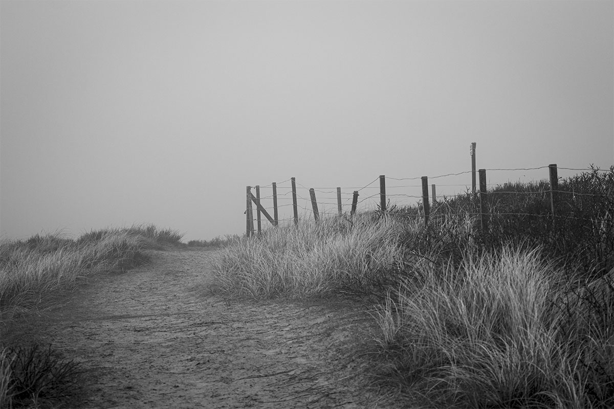 Der Weg durch den Nebel - Bork Havn (03.2023)