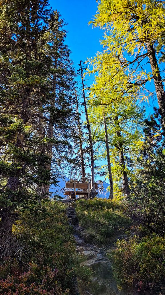 Der Aussichtspunkt im Rauriser Urwald in Farbe – Rauris (10.2023)