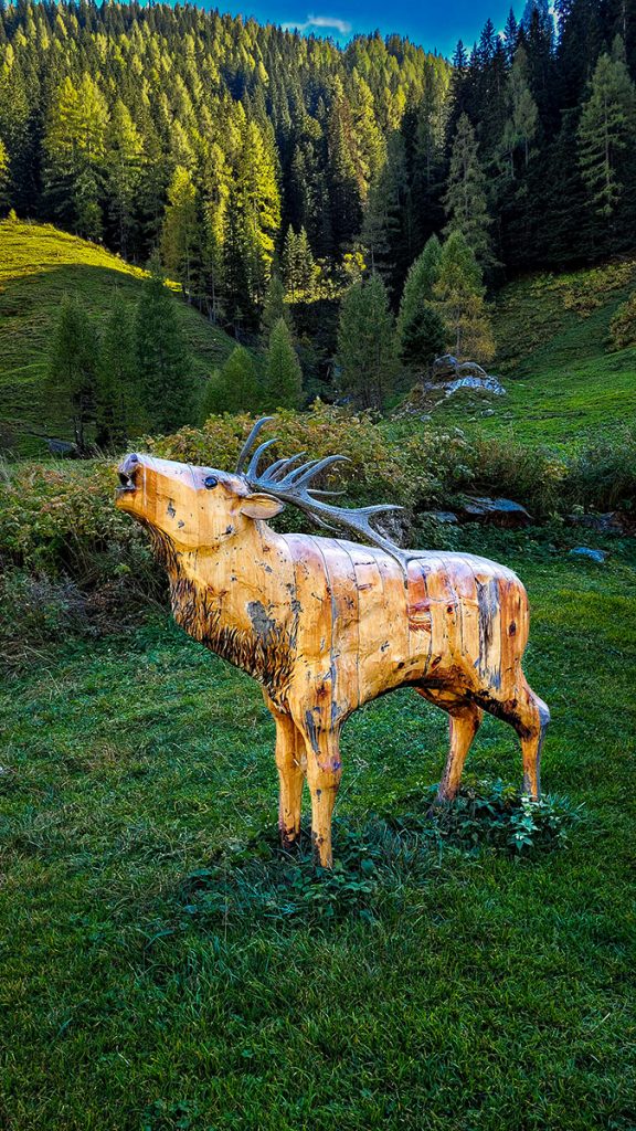 Der hölzerne Hirsch in Farbe – Rauris (10.2023)