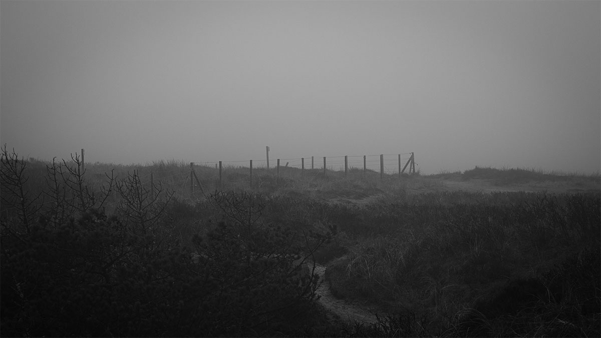 Im Nebel durch die Dünen - Bork Havn (03.2023)