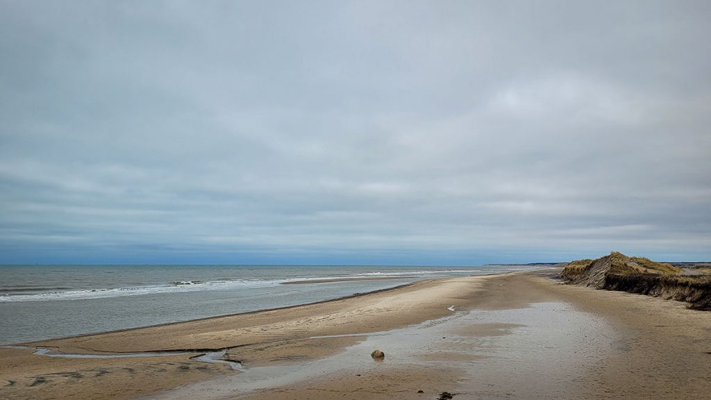 Der Blick auf die dänische Nordsee in Farbe - Nordjütland (03.2024)