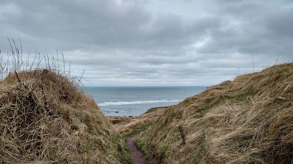 Durch die Dünen zum Strand in Farbe - Nordjütland (03.2024)