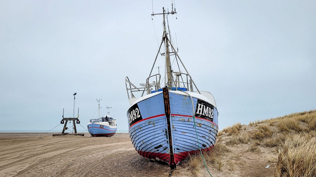 Gestrandet am Slettestrand!?! - Nordjütland (03.2024)