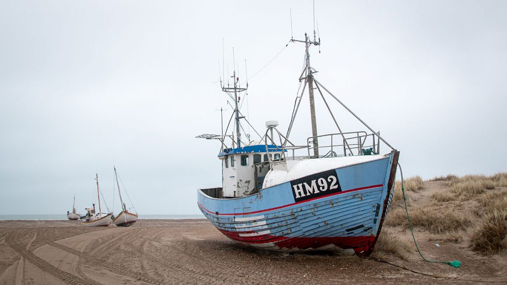 Gestrandet am Slettestrand!?! - Nordjütland (03.2024)