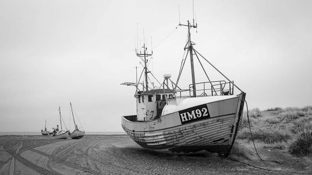 Gestrandet am Slettestrand!?! - Nordjütland (03.2024)