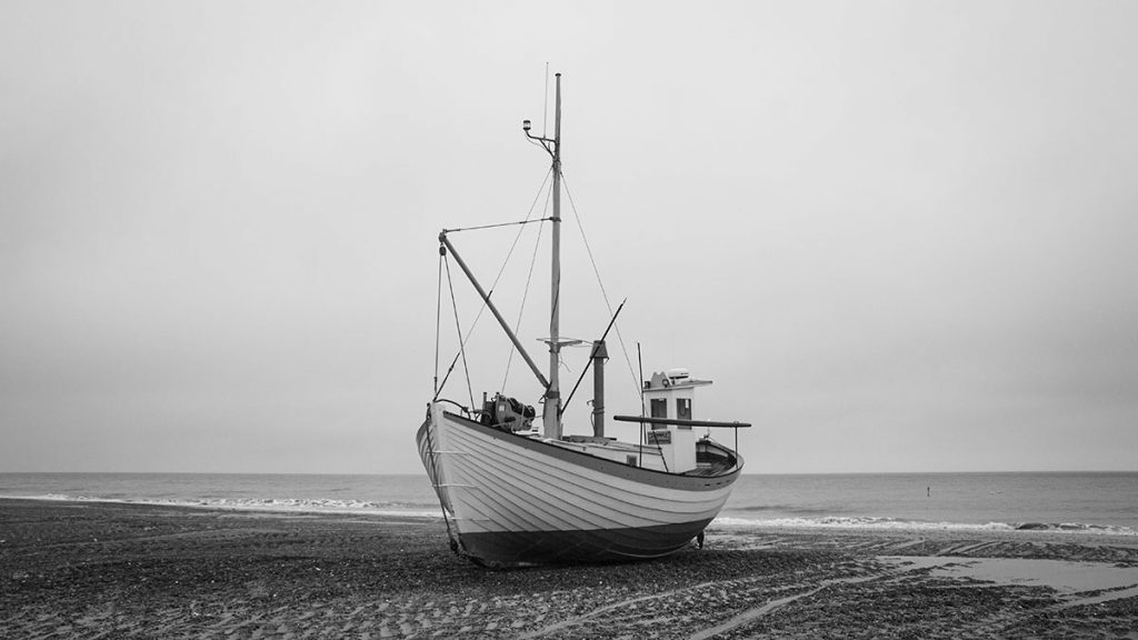 Gestrandet am Slettestrand!?! - Nordjütland (03.2024)