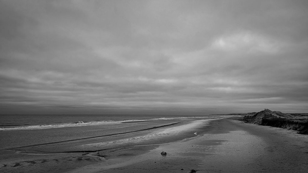 Der Blick auf die dänische Nordsee - Nordjütland (03.2024)