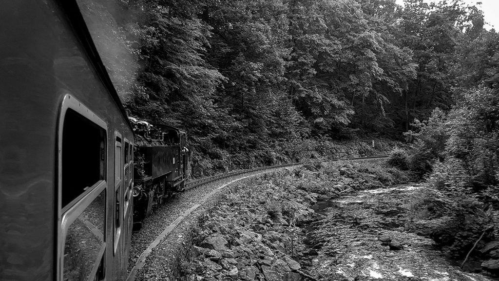 Mit der Dampflokomotive durch das Tal - Weißeritztalbahn (08.2023)