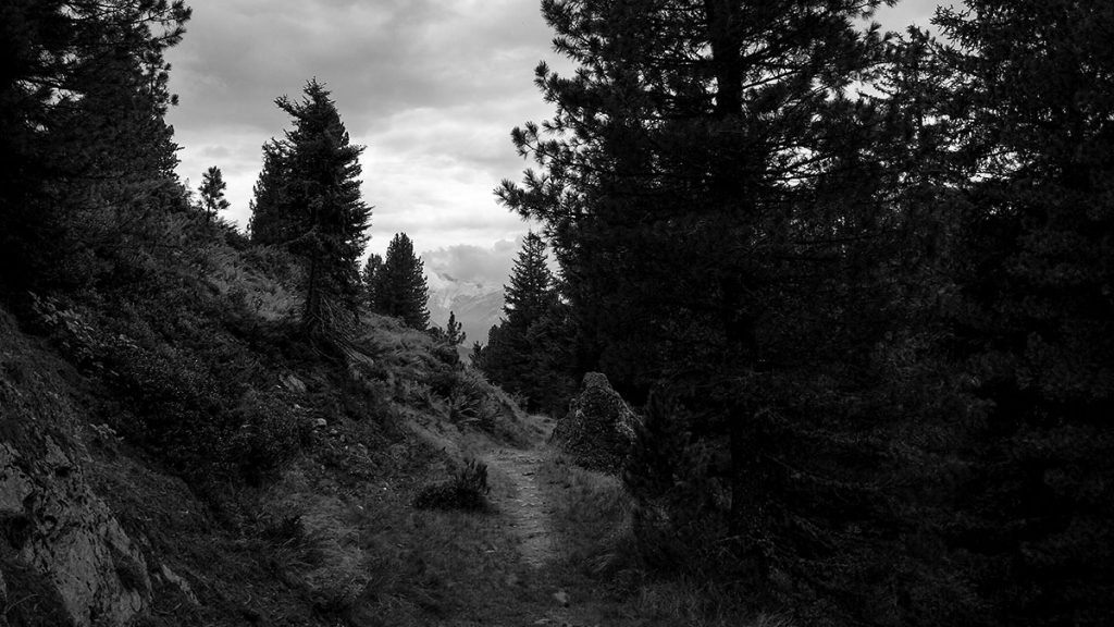 Der Wanderweg durch den Wald - Gerlos (08.2024)