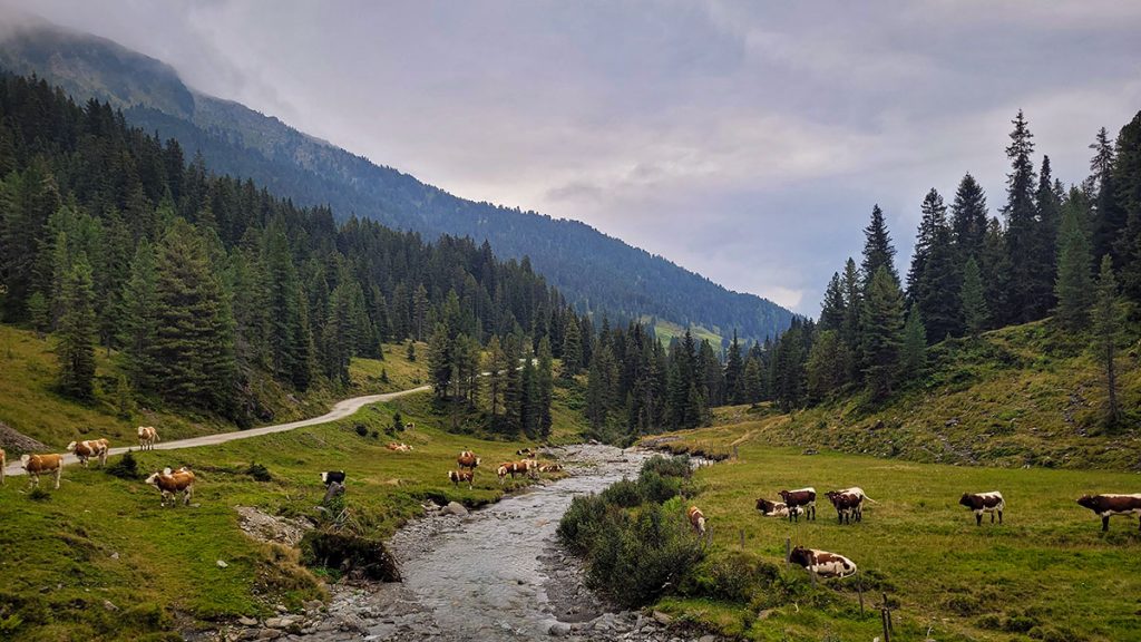 Was für ein Ausblick - Gerlos (08.2024)