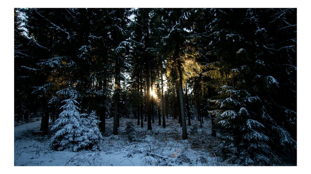 Der geteilte Wanderweg - Altenberg (12.2024)