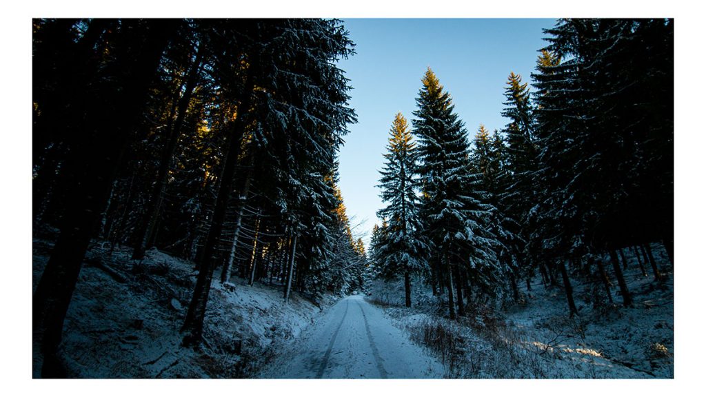 Wanderung im Schnee - Altenberg (12.2024)