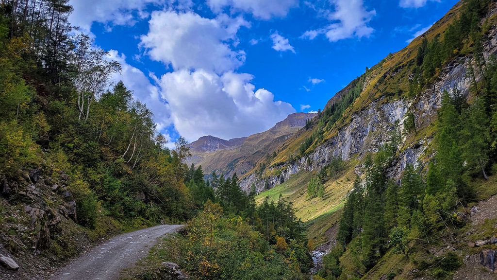 Der Weg durch das Tal in Farbe - Rauris (10.2023)