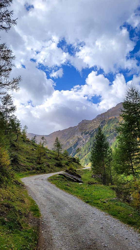 Wir wandern zur Alm in Farbe - Rauris (10.2023)
