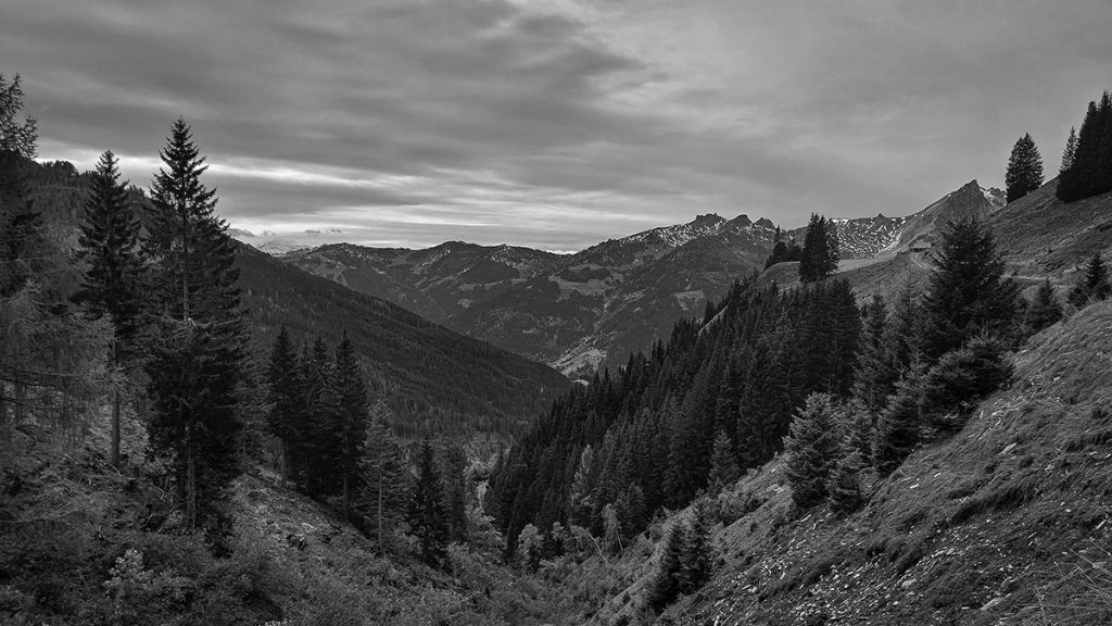 Den Ausblick genießen - Großarl (10.2024) 