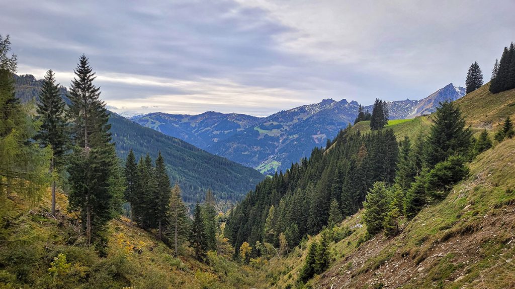 Den Ausblick genießen in Farbe - Großarl (10.2024) 