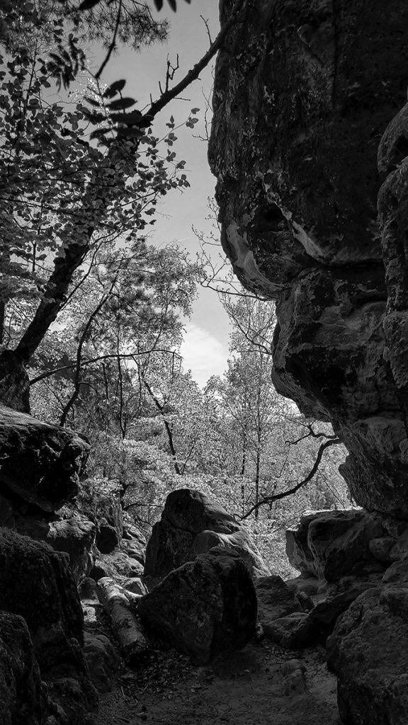 Der Blick durch den Sandstein (04.2025)
