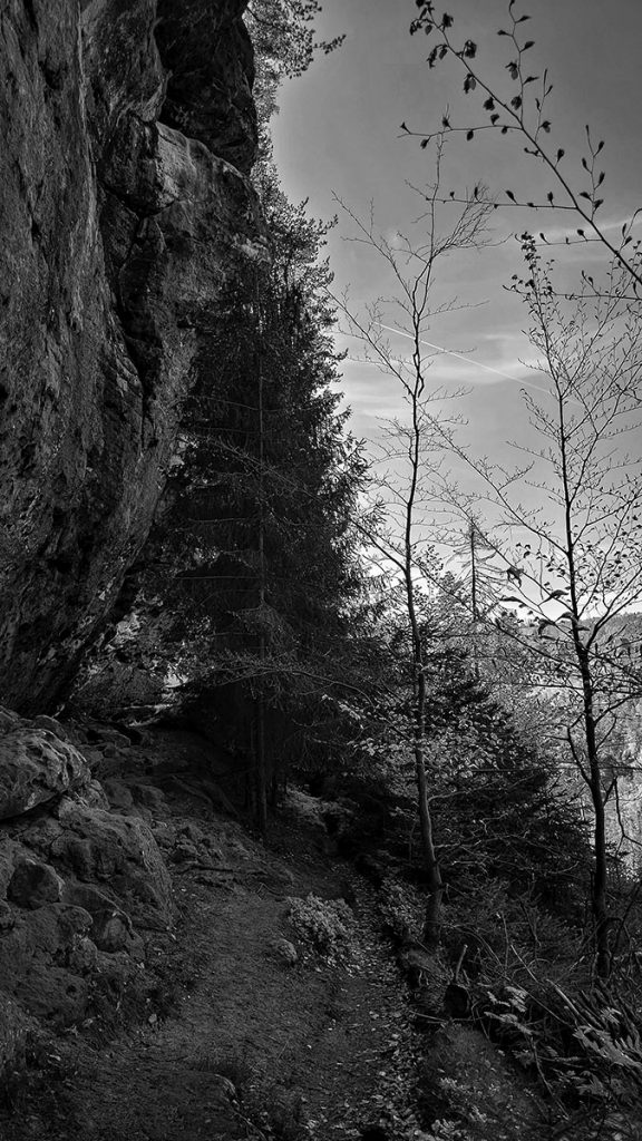 Durch das Elbsandsteingebirge (04.2025)