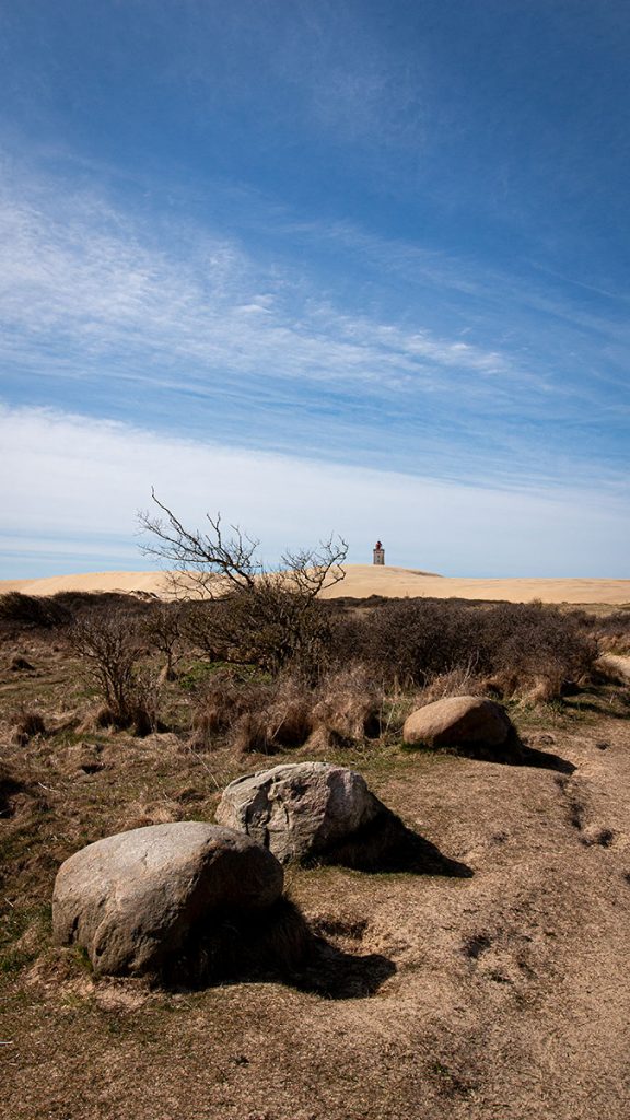 Der Weg zum "Rubjerg Knude Fyr" – Løkken (03.2025)