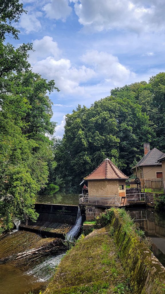 Wandern durch den Wesenitzgrund