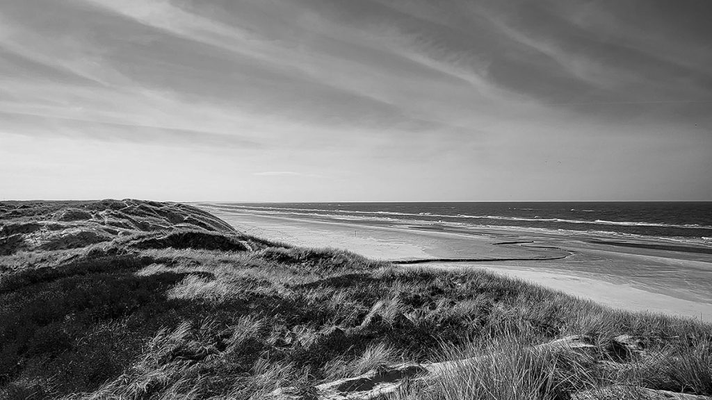 Der Blick von den Dünen auf die Nordsee - Nordjütland (03.2024)