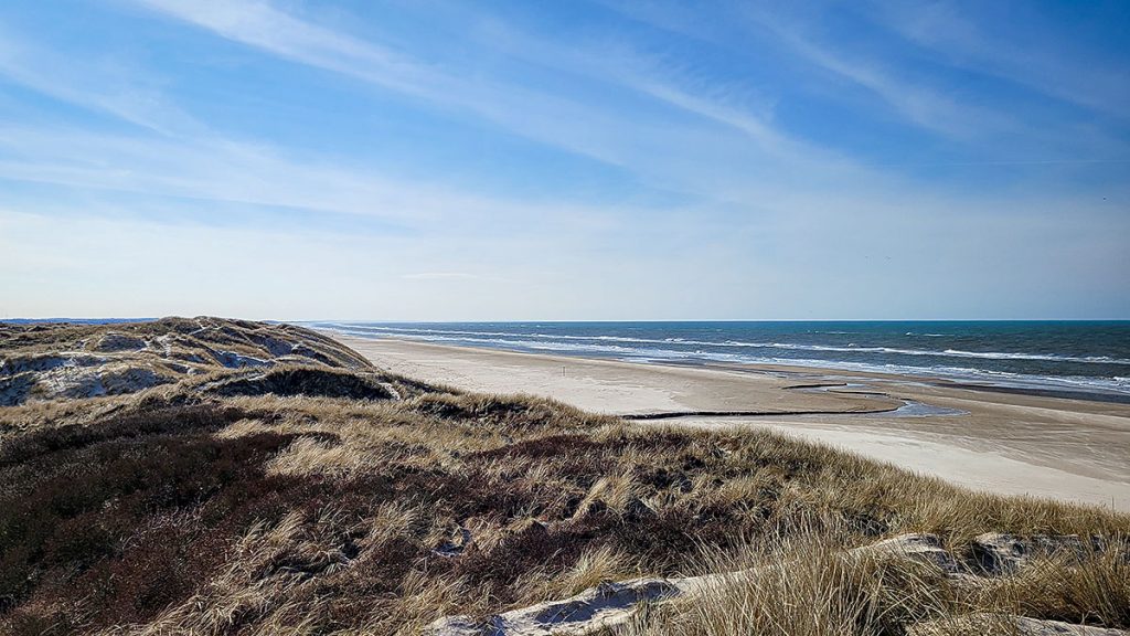 Der Blick von den Dünen auf die Nordsee - Nordjütland (03.2024)