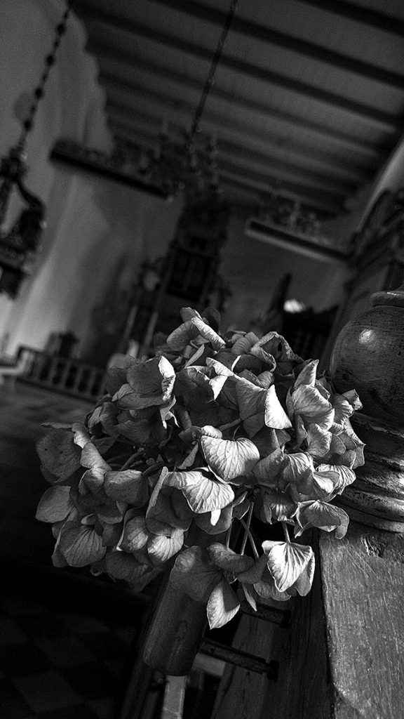 Die Hortensie in der kleinen Kirche - Trend Strand (08.2025)