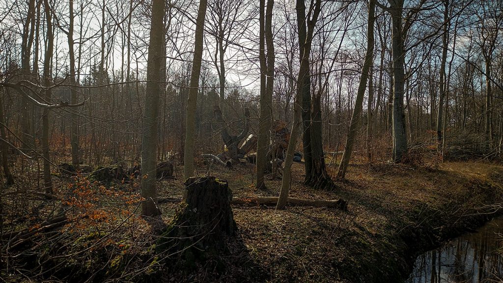 Ebbe Skytte (Nr.157) - Die Trolle von Thomas Dambo