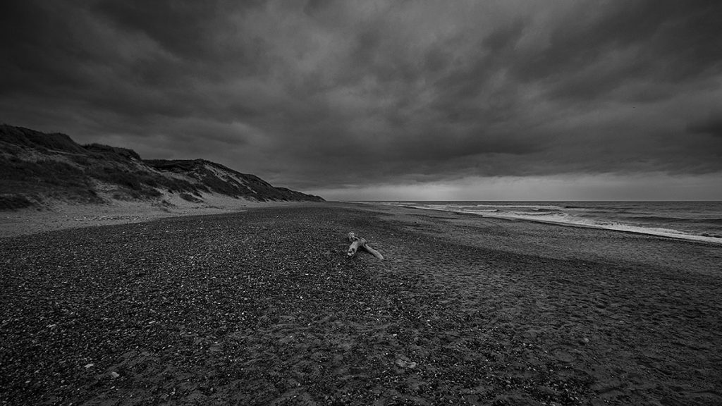 Der Strand - Trend Strand (08.2025)