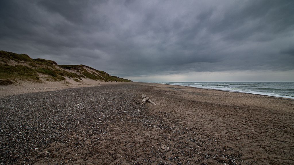 Der Strand - Trend Strand (08.2025)
