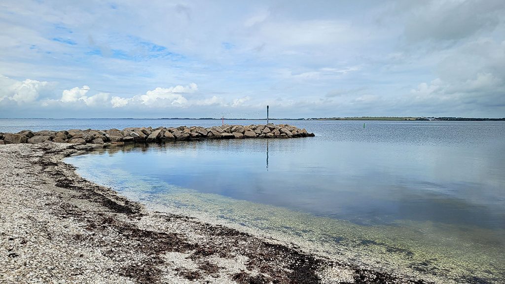 Der Muschelstrand - Trend Strand (08.2025)