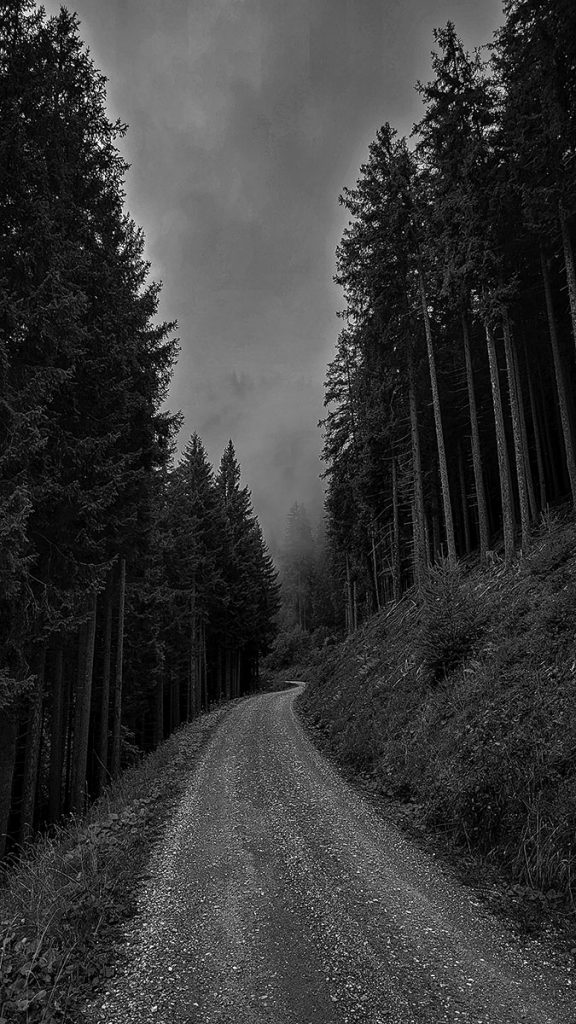 Der Weg durch die Wolken - Großarl (09.2025)