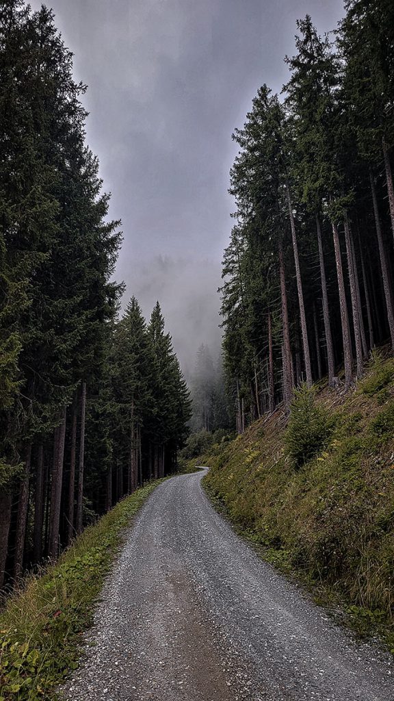 Der Weg durch die Wolken - Großarl (09.2025)