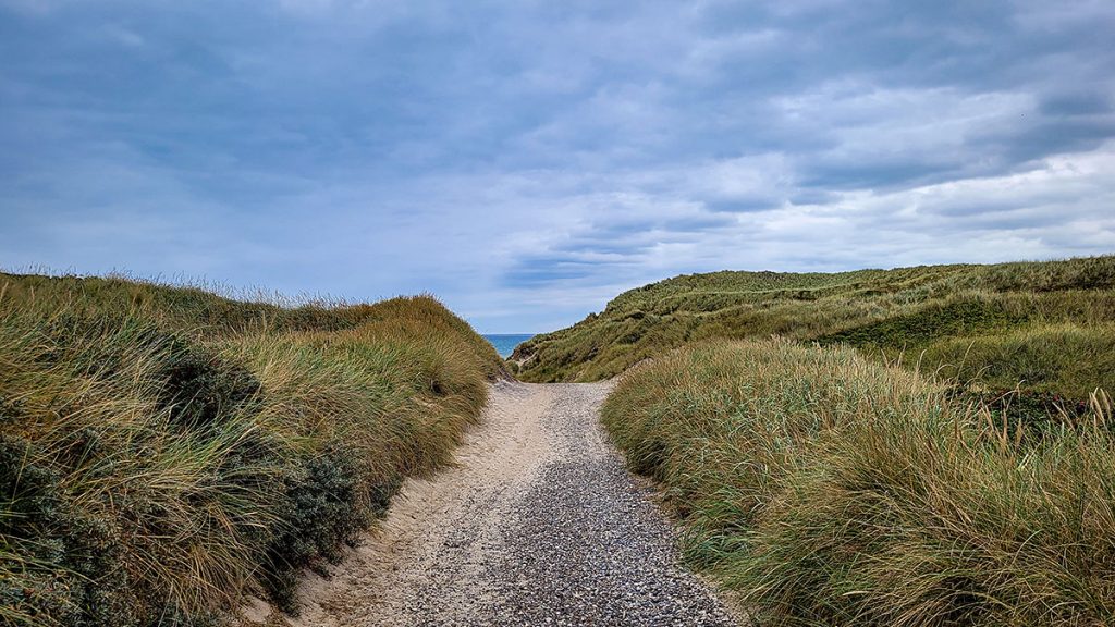 Der Weg zum Strand - Trend Strand (08.2025)