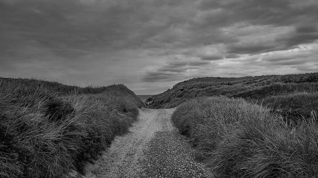 Der Weg zum Strand - Trend Strand (08.2025)