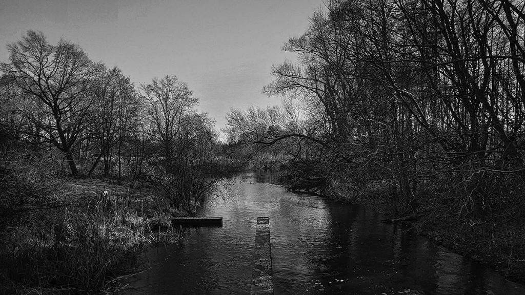 Das vereiste Wehr - Spreewald (12.2025)