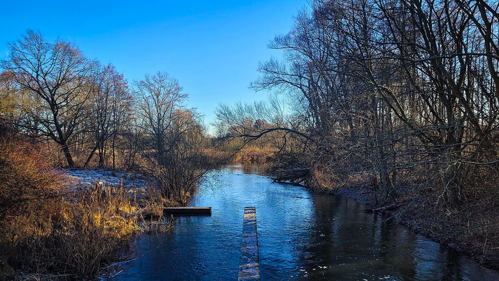 Das vereiste Wehr - Spreewald (12.2025)