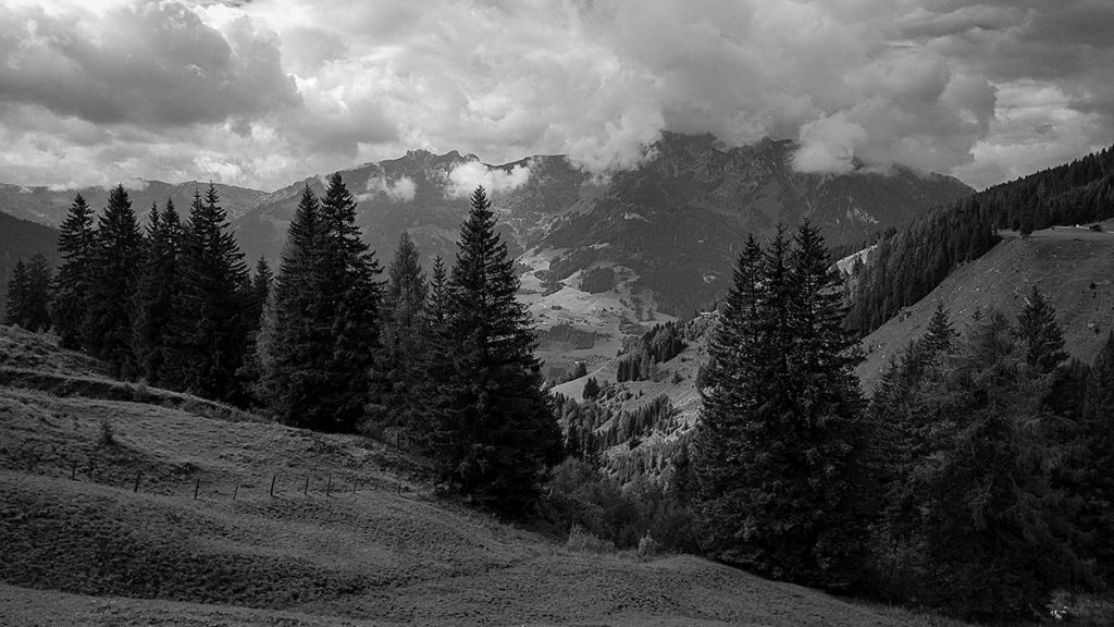 Einfach zum Genießen... - Großarl (09.2025)