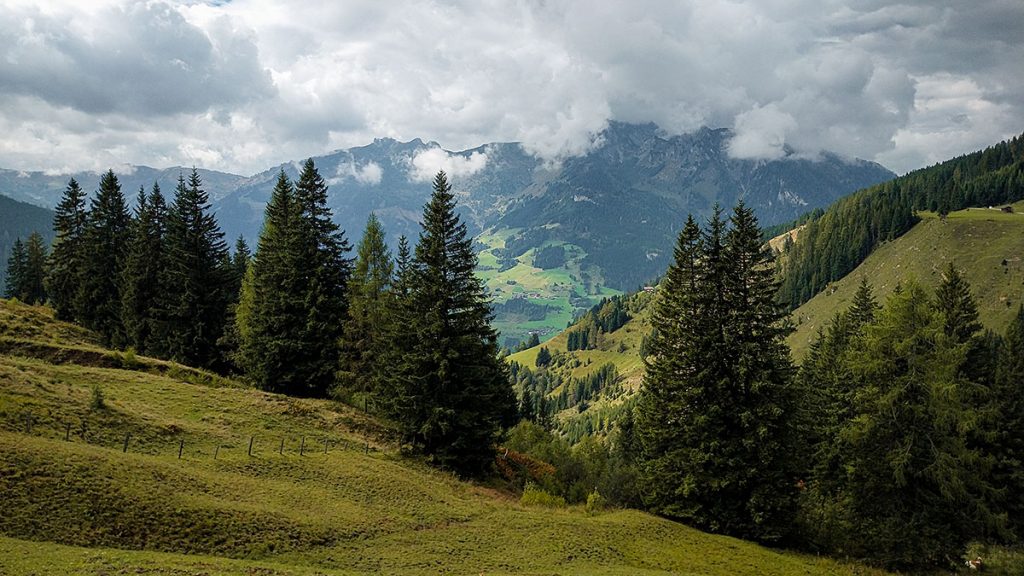 Einfach zum Genießen... - Großarl (09.2025)