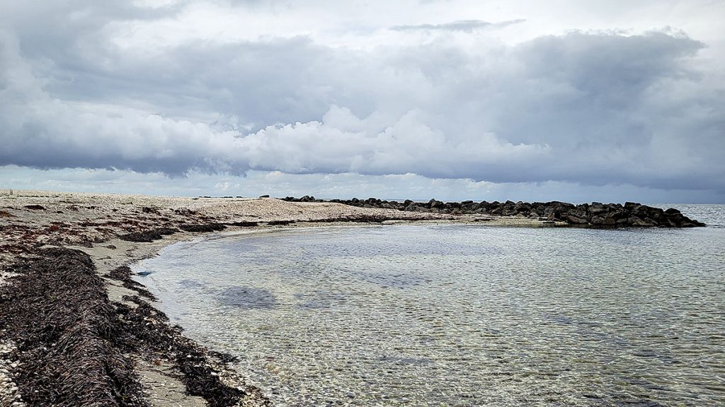 Der Muschelstrand - Trend Strand (08.2025)