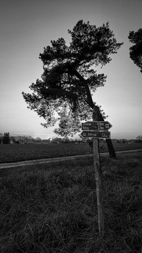 Der Wegweiser - Spreewald (12.2025)