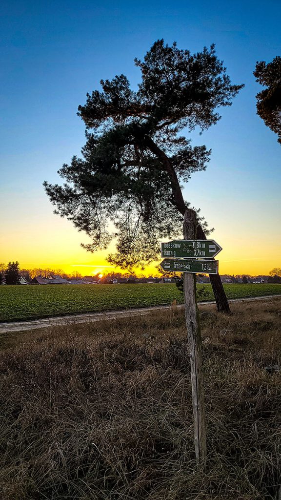 Der Wegweiser - Spreewald (12.2025)