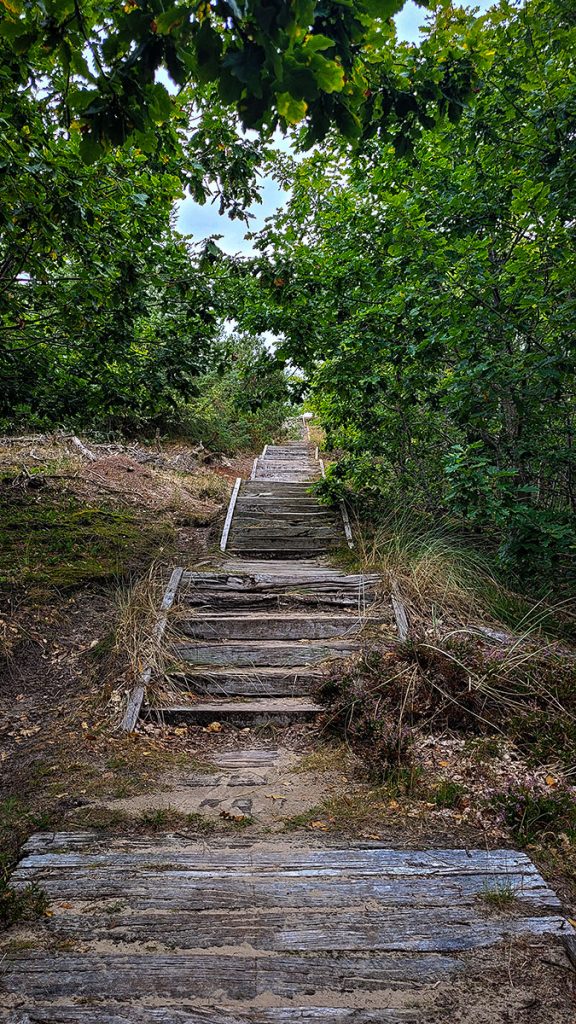 Die kaputte Treppe zum Aussichtsturm - Trend Strand (08.2025)