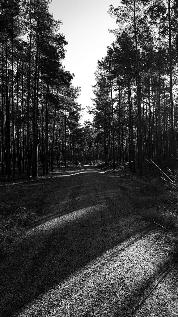 Licht und Schatten - Spreewald (12.2025)