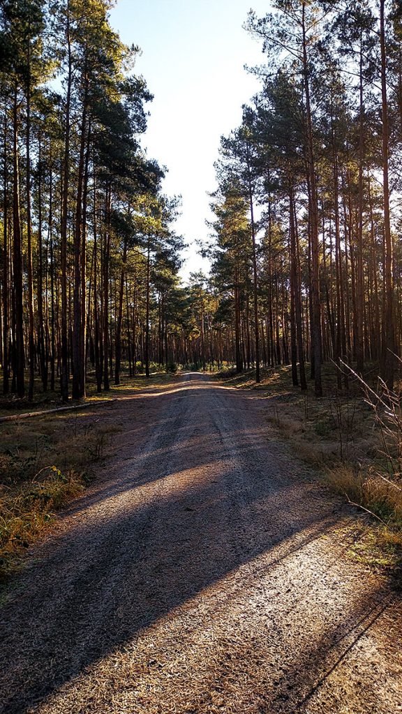 Licht und Schatten - Spreewald (12.2025)