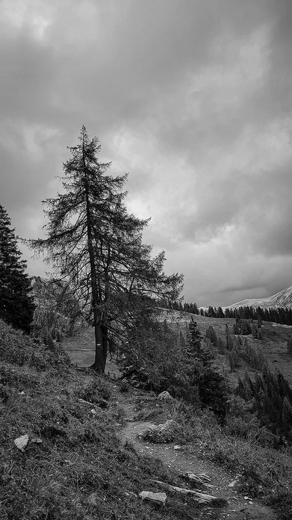 Der Wanderweg - Großarl (09.2025)