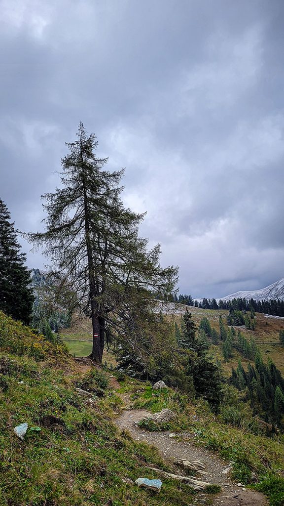 Der Wanderweg - Großarl (09.2025)