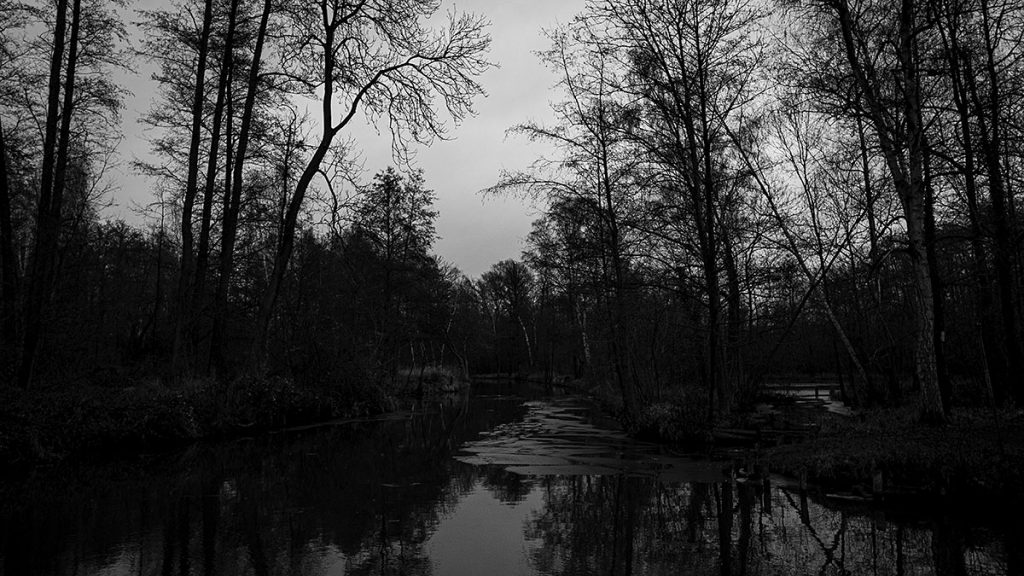 Die Natur genießen?!? - Spreewald (12.2025)